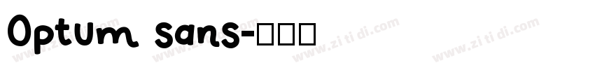 Optum sans字体转换